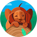 Ps Toto profile picture