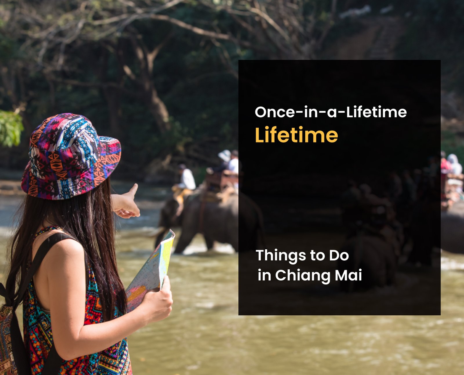 Once-in-a-Lifetime Things to Do in Chiang Mai