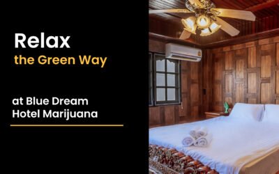 Relax the Green Way at Blue Dream Hotel Marijuana