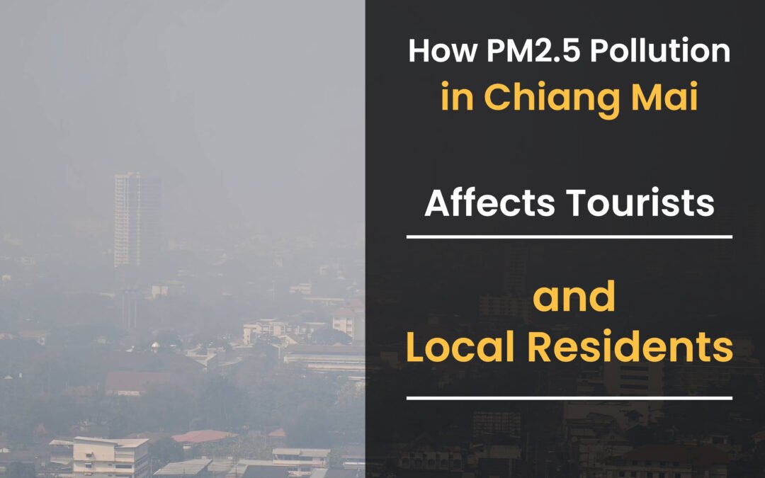 How PM2.5 Pollution in Chiang Mai Affects Tourists and Local Residents